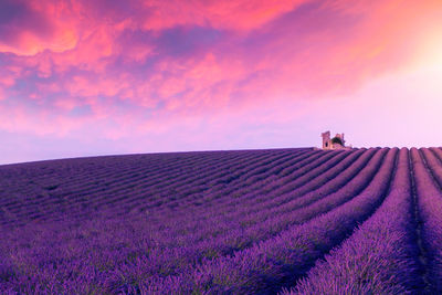 Scenic view of field against sky during sunset