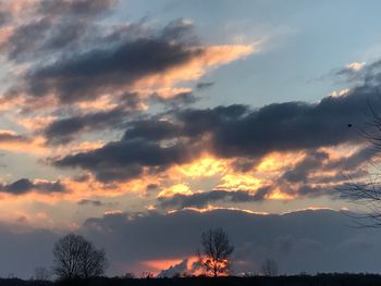 Low angle view of silhouette trees against dramatic sky