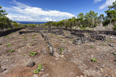 Surface level of land against sky