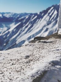 Scenic view of snow covered land