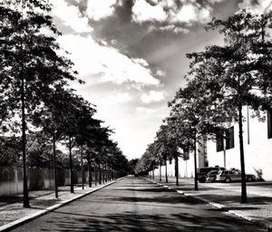 Empty road along trees