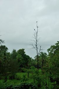 Scenic view of landscape against cloudy sky