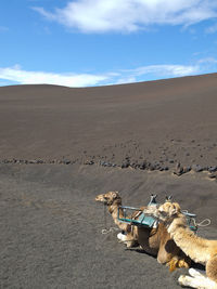 The spanish island of lanzarote