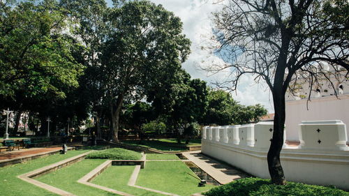 Trees in park against sky