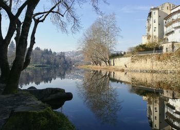 Reflection of trees in lake against sky