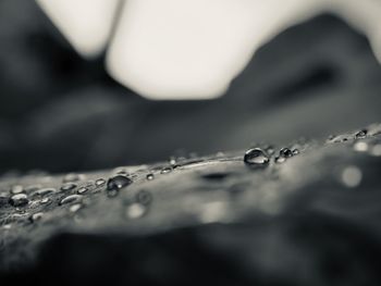 Close-up of water drops on leaf
