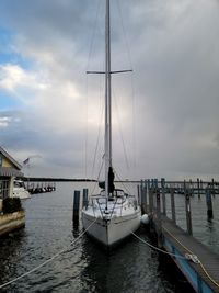 Sailboats moored in harbor against sky