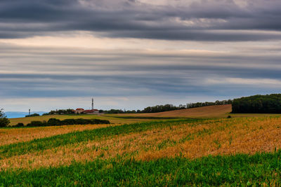 Scenic view of agricultural field against sky