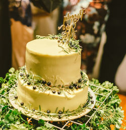 Close-up of plant against blurred background