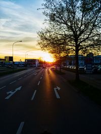 Road by trees against sky during sunset in city