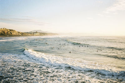 Surfers during sunset in biarritz, france. shot on 35mm kodak gold 200 film.