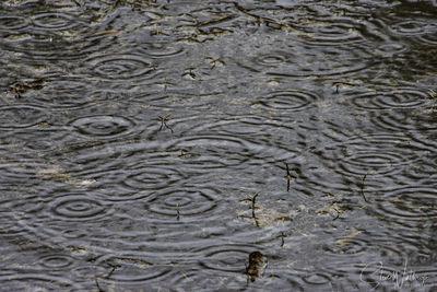 Full frame shot of rippled water