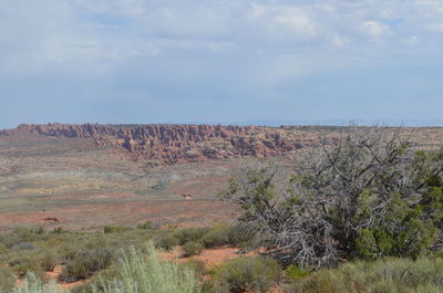 Looking across salt valley to the fiery furnace from panorama point in arches national park