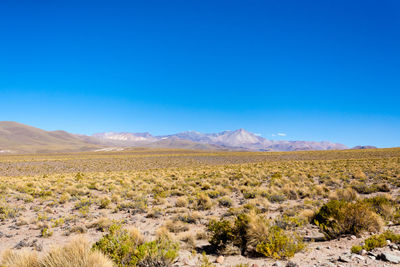 Scenic view of desert against clear blue sky