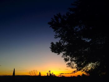 Silhouette trees at sunset