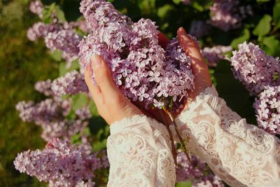 Close-up of woman hand holding pink flower