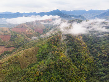 High angle view of trees on landscape against sky