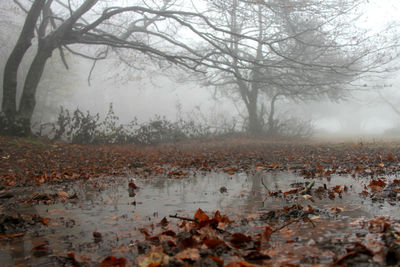 Scenic view of lake during winter