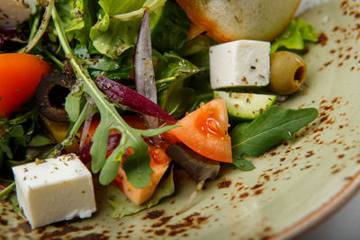 Close-up of salad served in plate