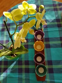 High angle view of yellow flowers on table