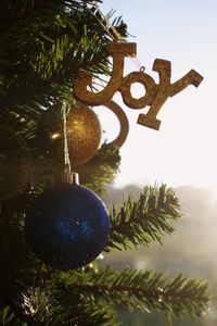 Low angle view of christmas tree against clear sky