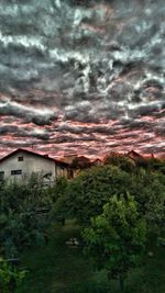 Plants and buildings against sky during sunset