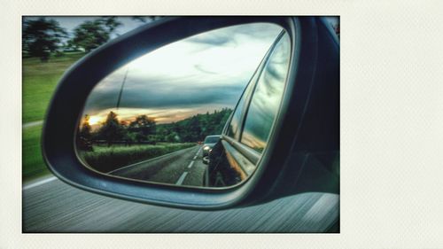 Reflection of trees in side-view mirror