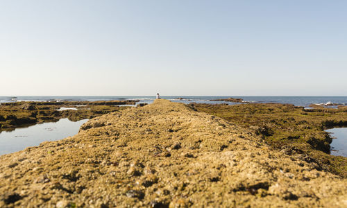 Scenic view of beach against clear sky