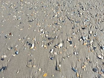 High angle view of sand on beach