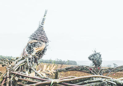 Close-up of bird nest on field against sky
