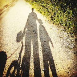 Shadow of person on road