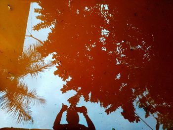 Reflection of trees in puddle