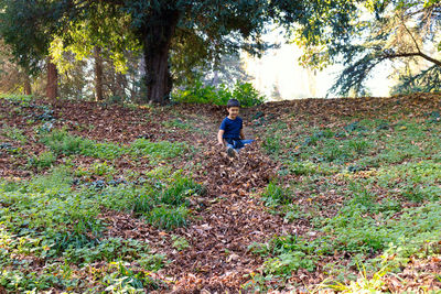 Full length of man standing on field in forest