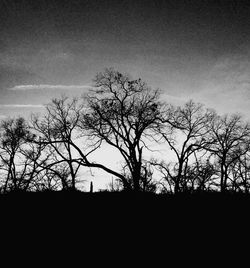 Low angle view of silhouette bare trees against sky