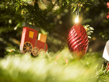 Close-up of christmas decorations hanging on tree