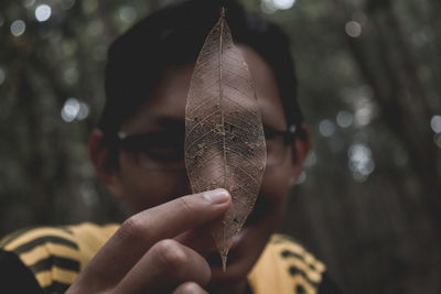 Close-up of hand holding leaf skeleton