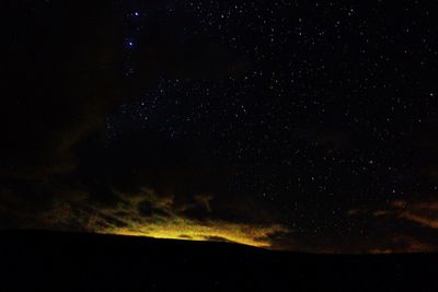 Silhouette trees against star field at night