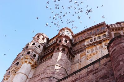 Low angle view of birds flying over historic building