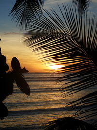 Silhouette woman at beach during sunset