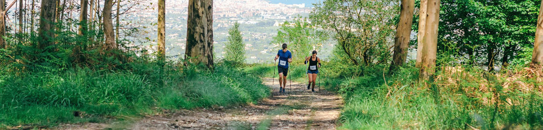 Rear view of people standing on footpath amidst trees in forest