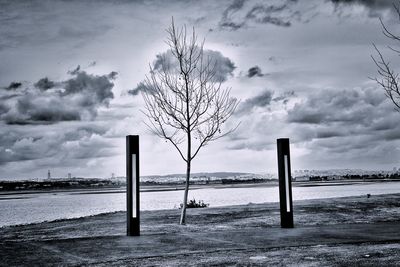 Bare tree on beach against sky