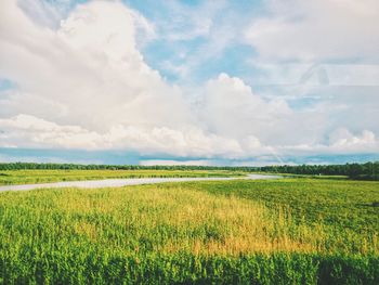 Scenic view of field against cloudy sky