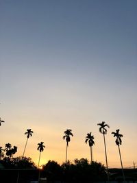 Low angle view of silhouette trees against sky during sunset