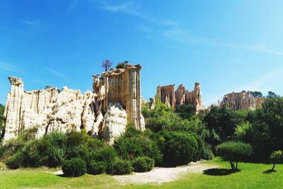 Trees on landscape against clear blue sky