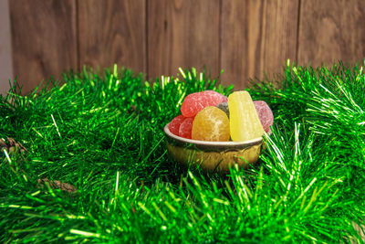 Close-up of fruits growing on plant