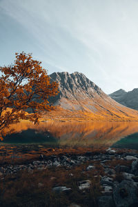 View of mountain by fjord during autumn