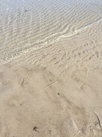 High angle view of tire tracks on beach