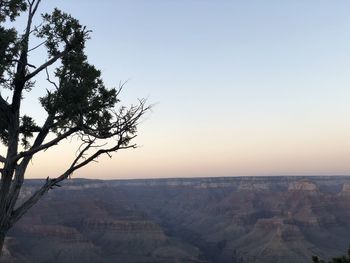 Scenic view of landscape against clear sky