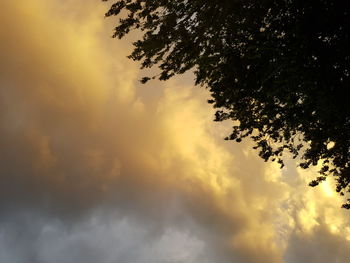 Low angle view of tree against sky during sunset