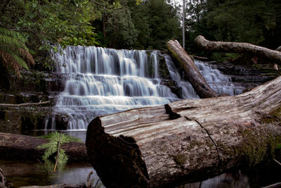 Scenic view of waterfall in forest